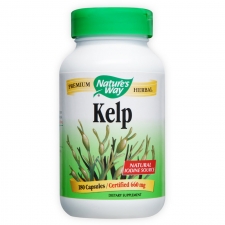 Kelp