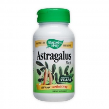 Astragalus Root