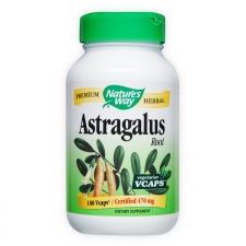 Astragalus Root