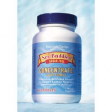 Sea Buddies Concentrate!