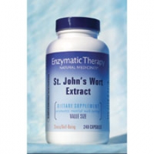 St. John's Wort Extract - 240 Capsules